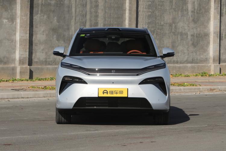 BYD Tang L EV - фото 2