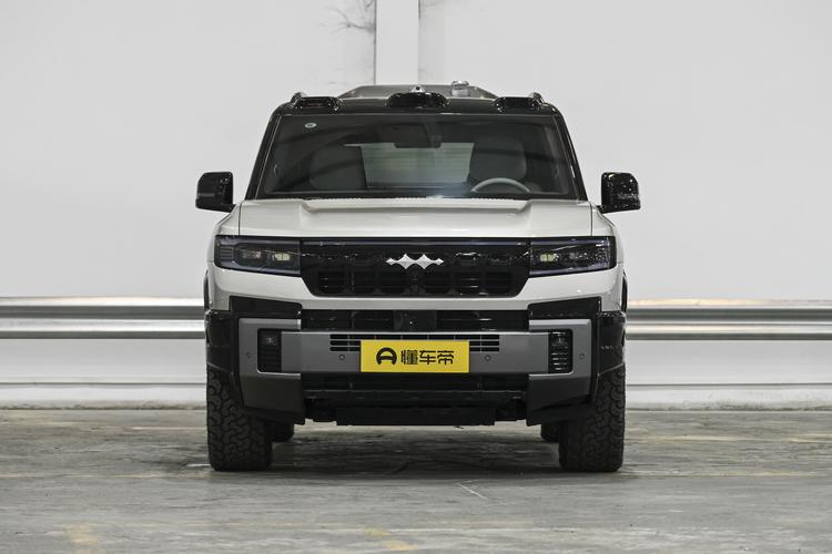 BYD Leopard 8 - фото 2