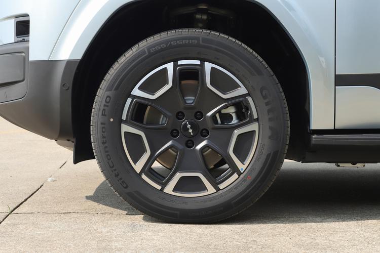 BYD Leopard 7 EV - фото 12