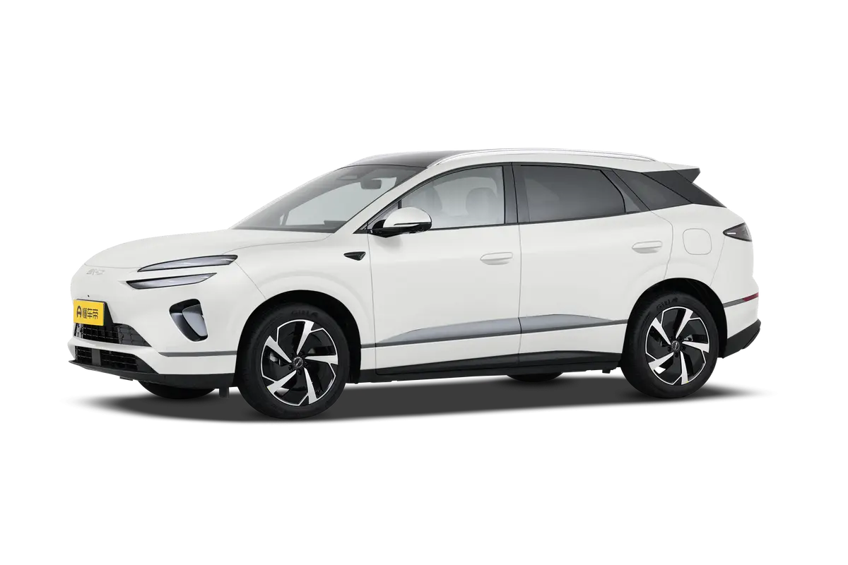 BYD Sea Lion 06 DM