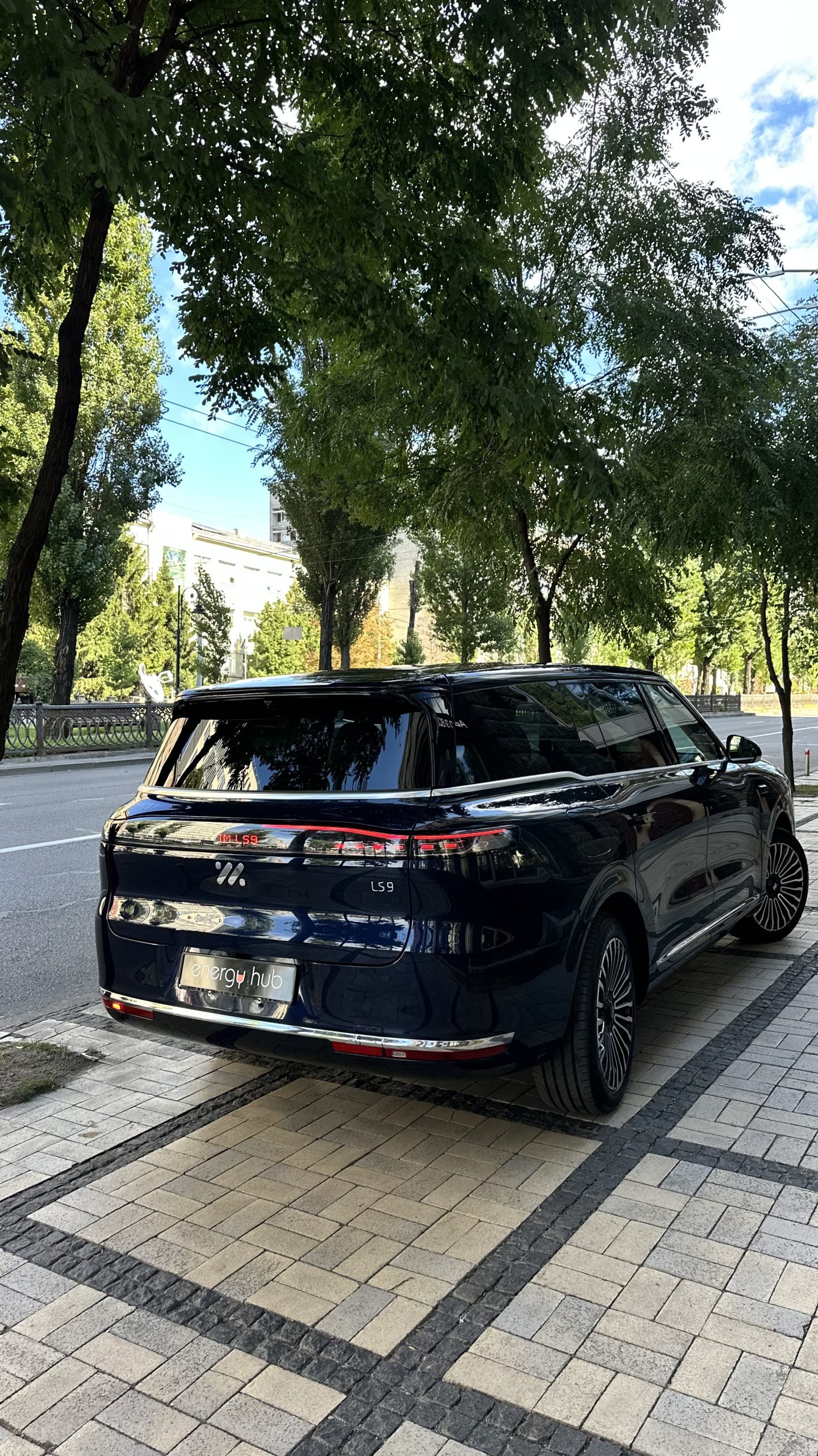 IM LS9 - фото 4