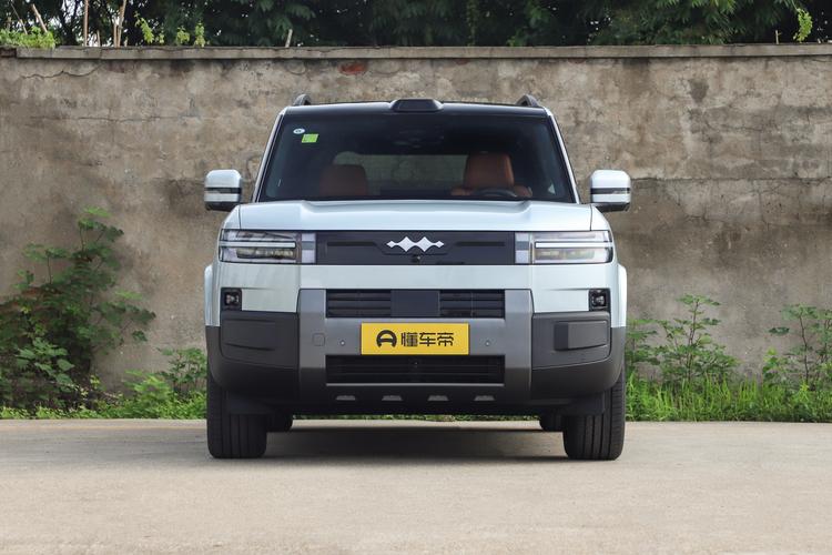 BYD Leopard 7 EV - фото 2