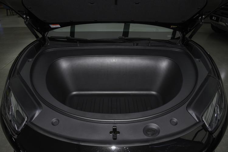 BYD Formula S - фото 15