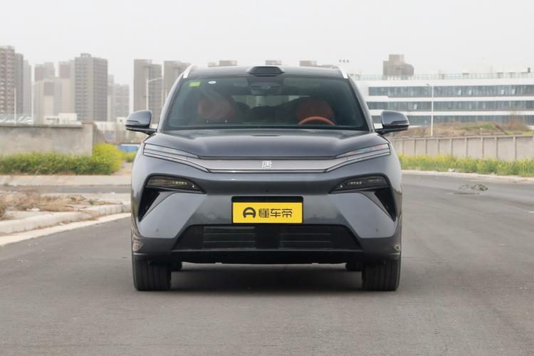 BYD Tang L DM - фото 2