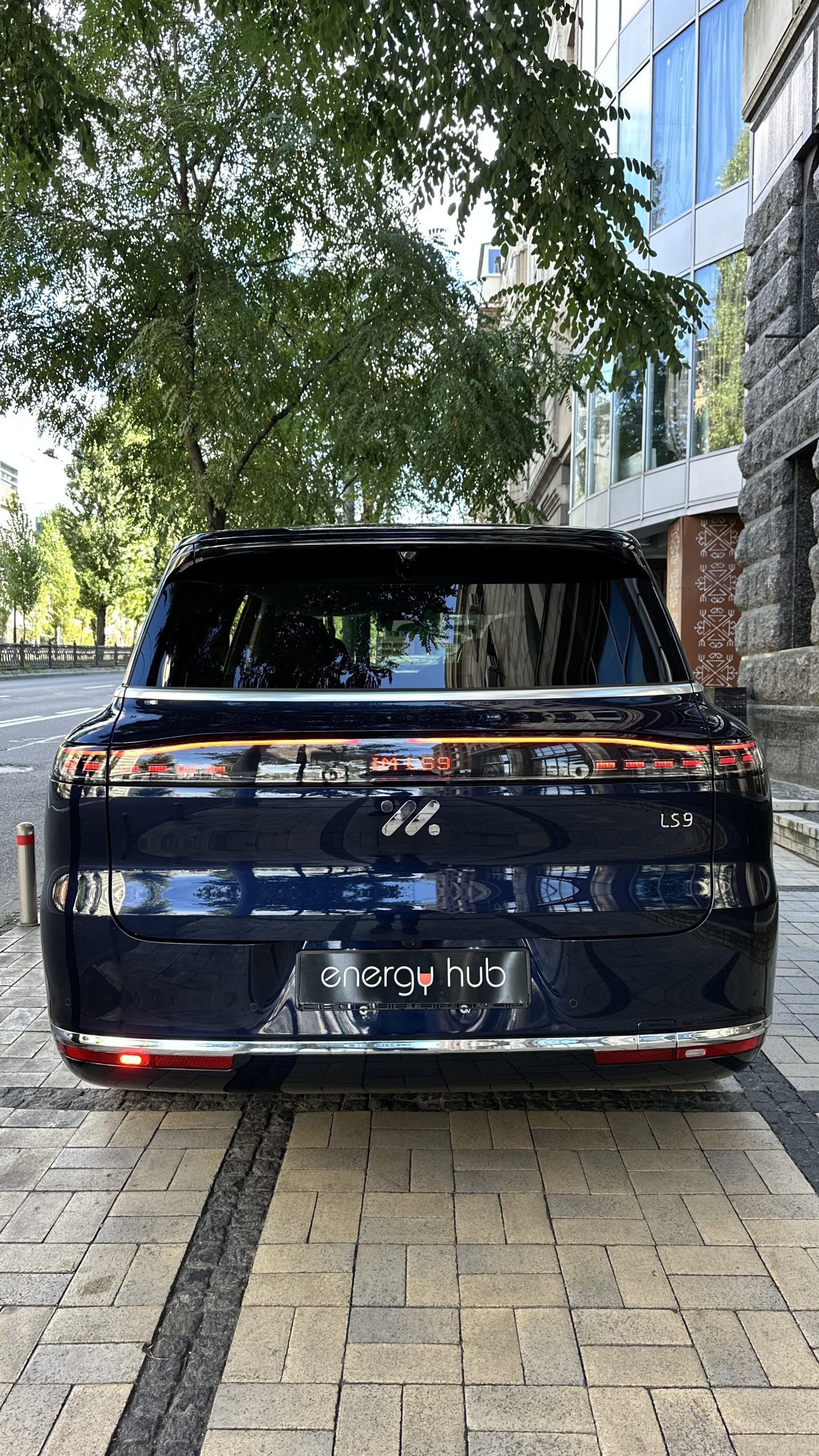 IM LS9 - фото 6