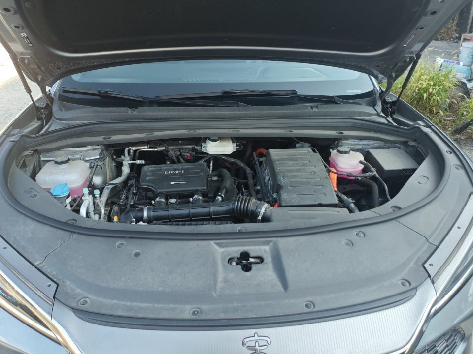 BYD Song L DM-i - фото 6
