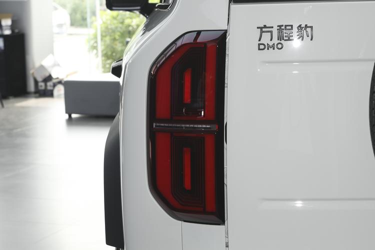 BYD Leopard 5 - фото 13