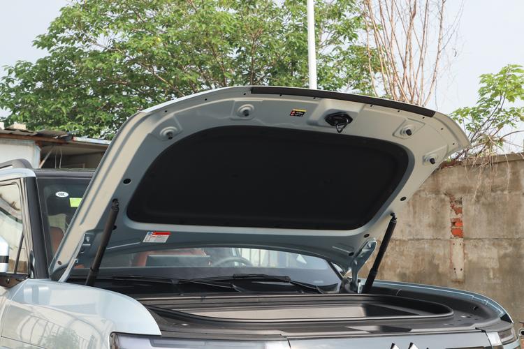 BYD Leopard 7 EV - фото 15