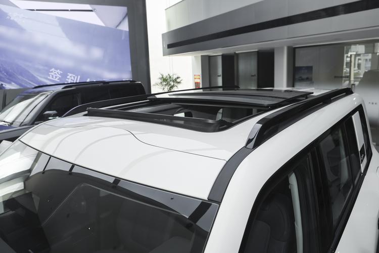 BYD Leopard 5 - фото 14
