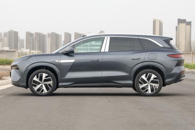 BYD Tang L DM - фото 4