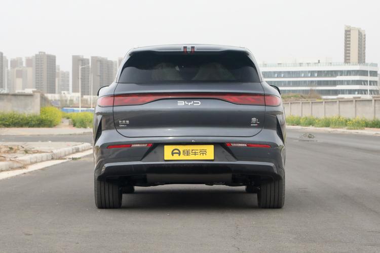 BYD Tang L DM - фото 6