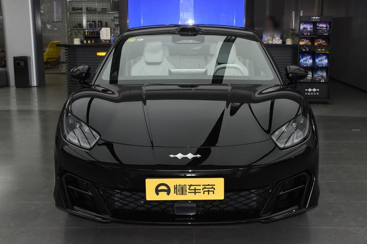BYD Formula S - фото 2