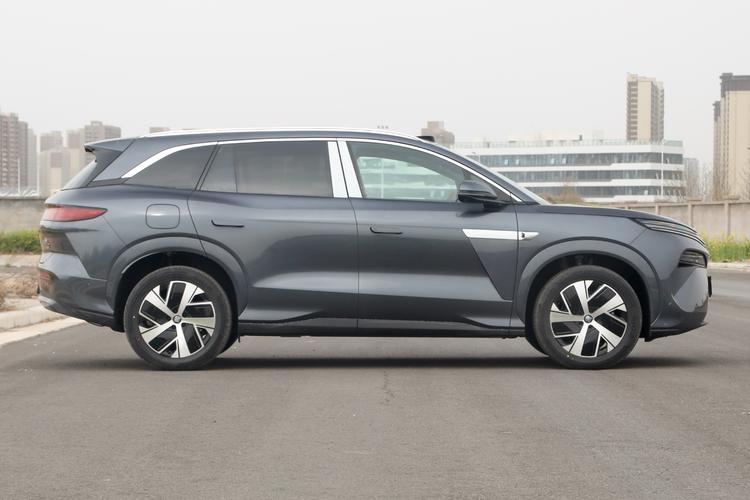BYD Tang L DM - фото 8