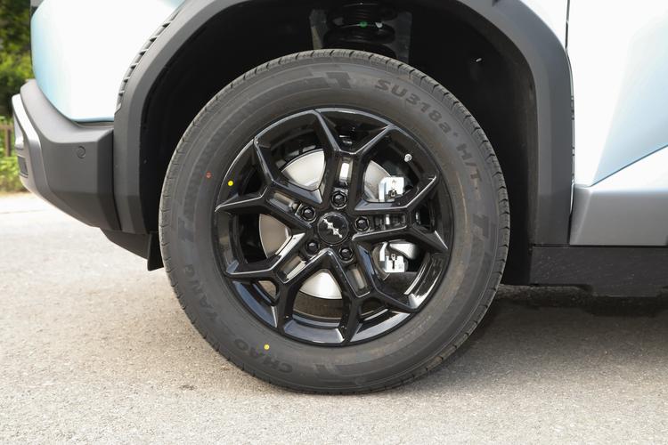 BYD Leopard 3 - фото 12