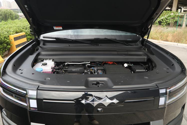 BYD Leopard 7 PHEV - фото 15