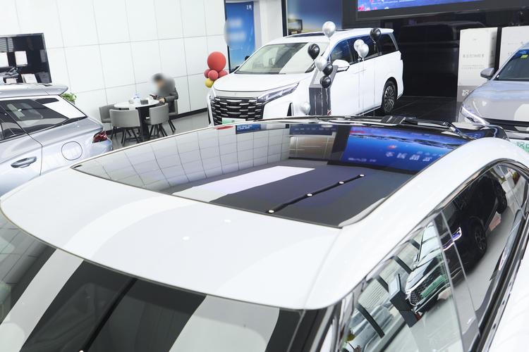 BYD Song L EV - фото 14