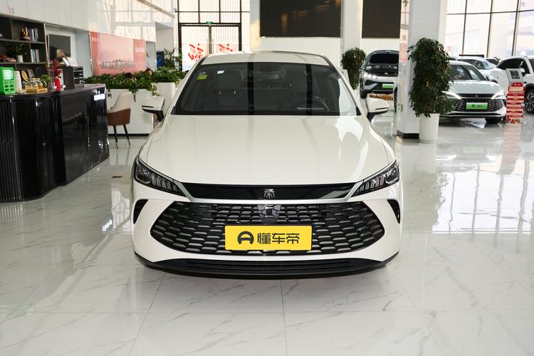 BYD Qin PLUS DM - фото 2