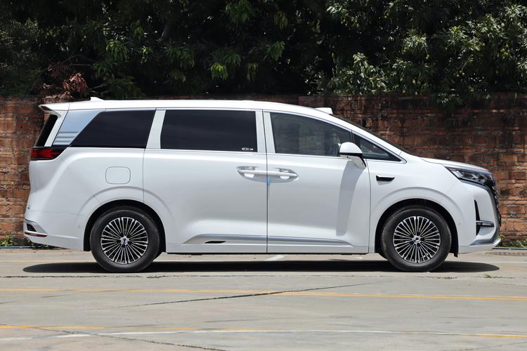 Denza D9 EV - фото 8
