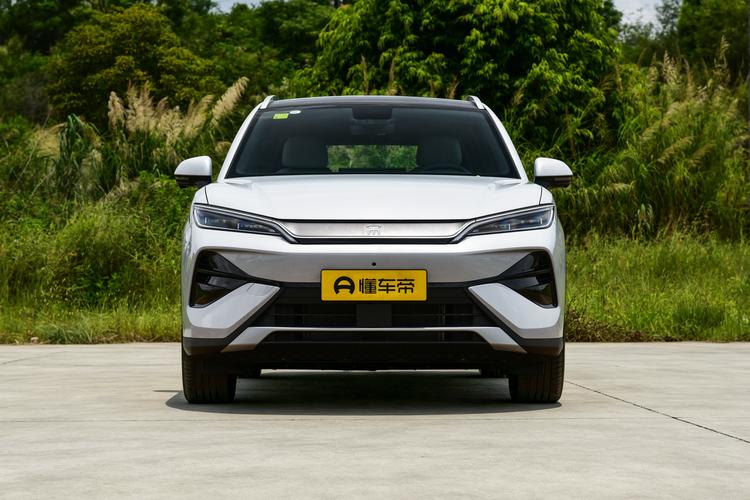 BYD Song Ultra DM - фото 2