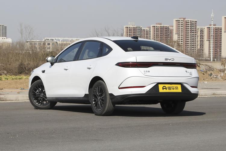 BYD Qin PLUS EV - фото 5