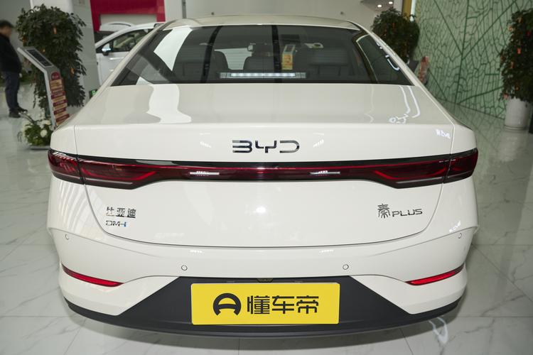 BYD Qin PLUS DM - фото 6