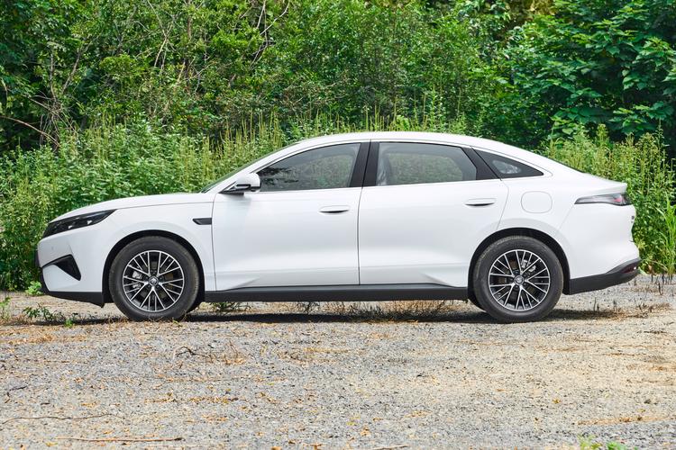 BYD Qin MAX DM - фото 4