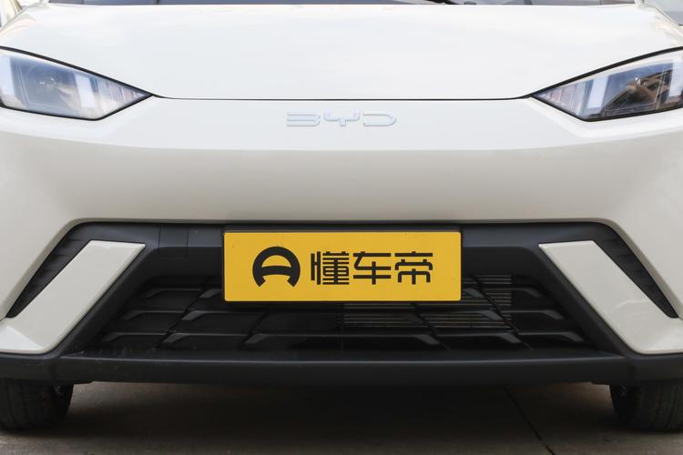BYD Seagull - фото 10