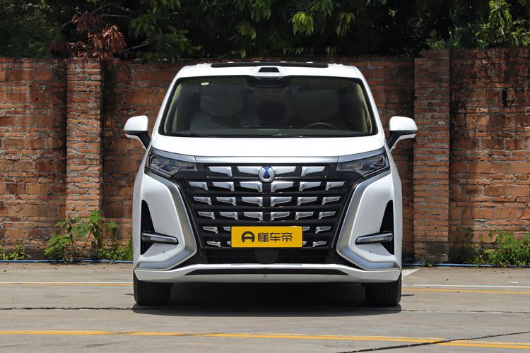 Denza D9 EV - фото 2