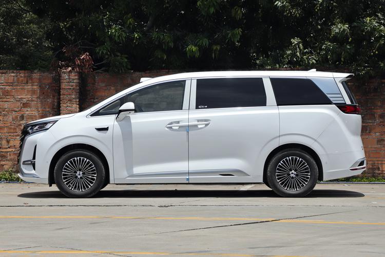 Denza D9 EV - фото 4