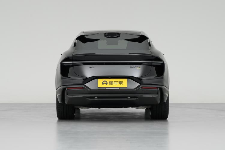 Lotus Eletre - фото 6