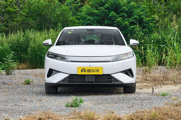 BYD Qin MAX DM - фото 2