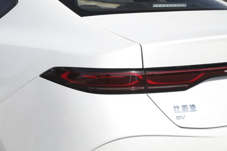 BYD Qin PLUS EV - фото 13