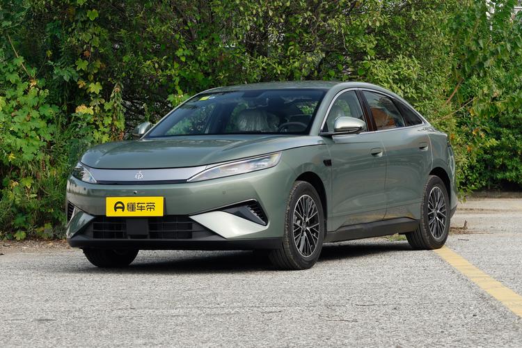 BYD Qin MAX EV - фото 1