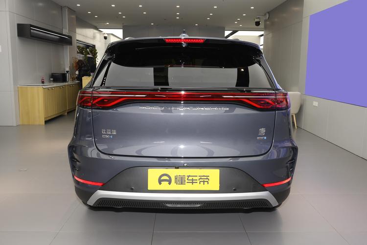 BYD Tang DM - фото 6