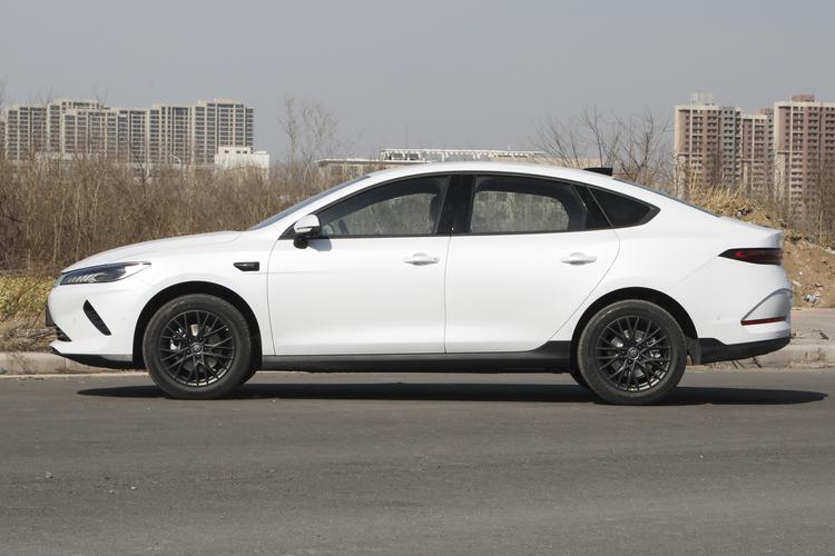 BYD Qin PLUS EV - фото 4