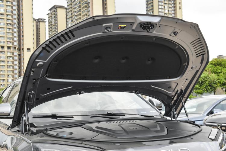 BYD Song PLUS EV - фото 14