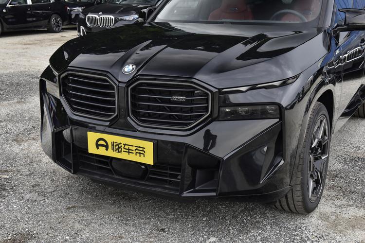 BMW XM - фото 9