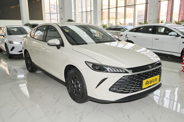BYD Qin PLUS DM - фото 3