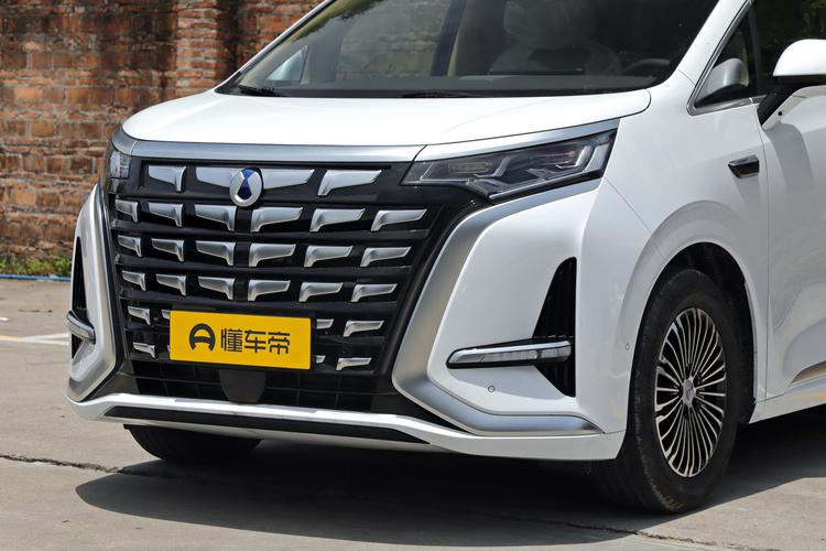 Denza D9 EV - фото 9