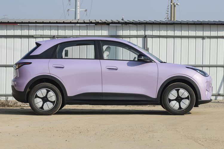 Geely Xingyuan - фото 8