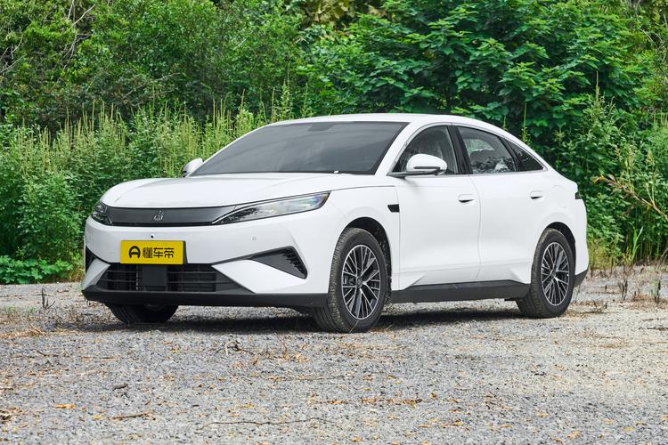 BYD Qin MAX DM - фото 1
