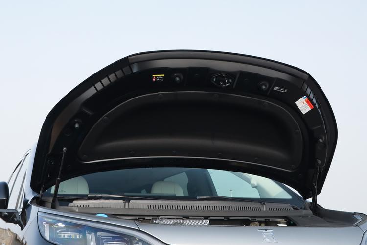 BYD Xia - фото 15