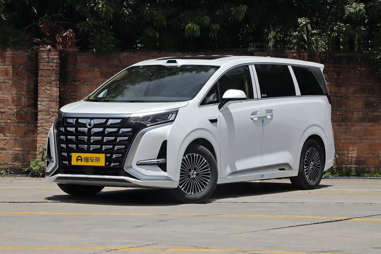 Denza D9 EV - фото 1