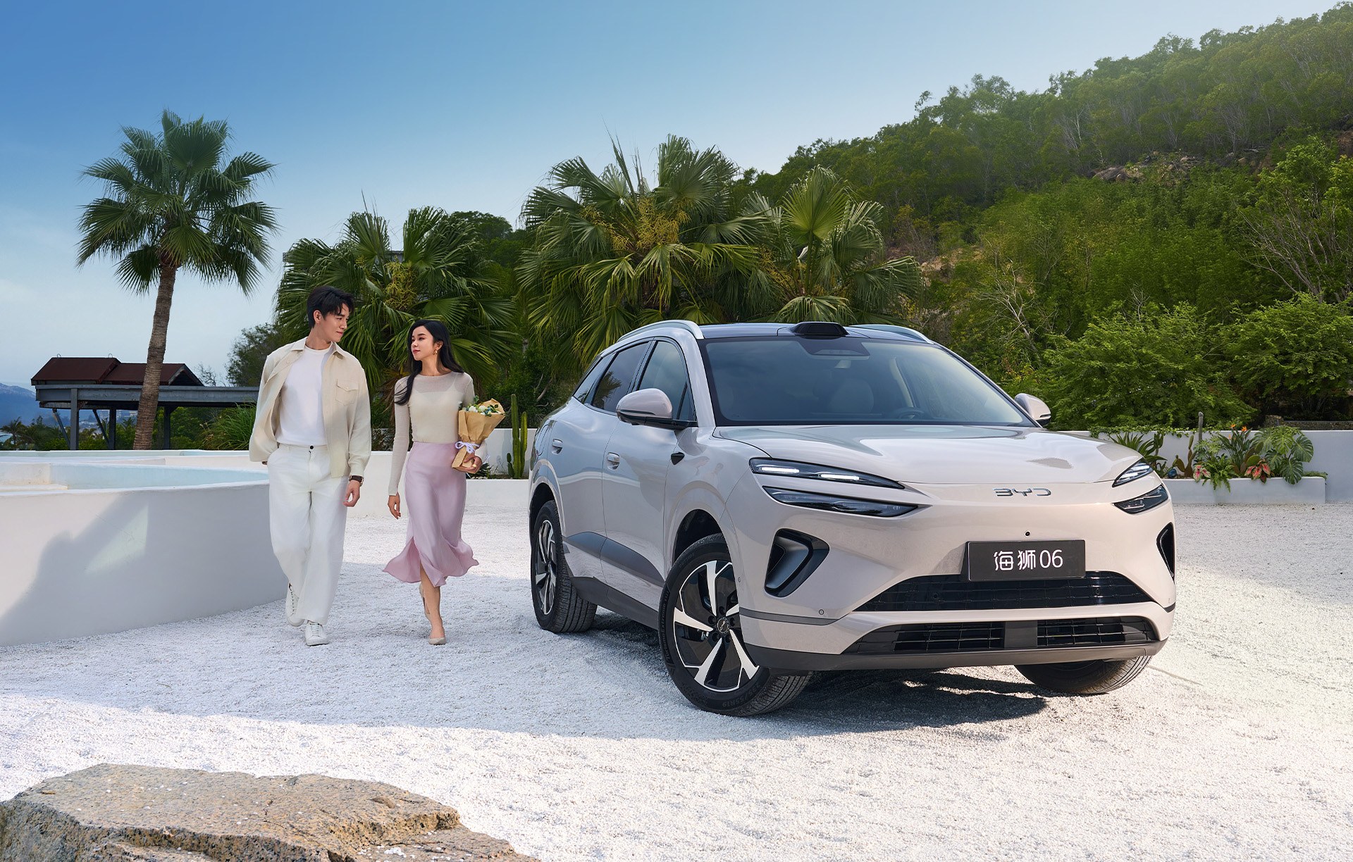 Купити BYD Sea Lion 06 DM-i в Україні з Energy Hub