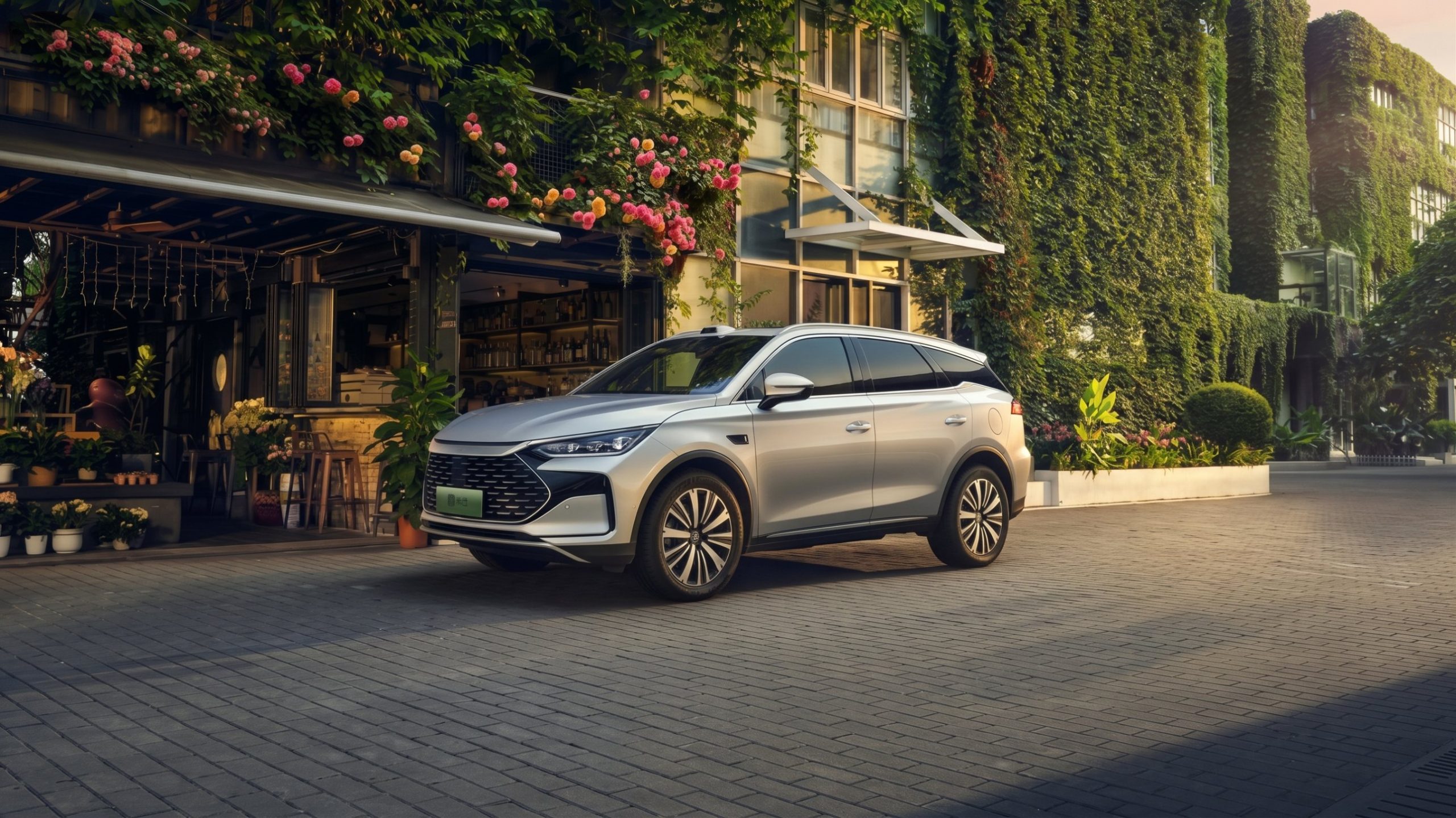 BYD Tang DM