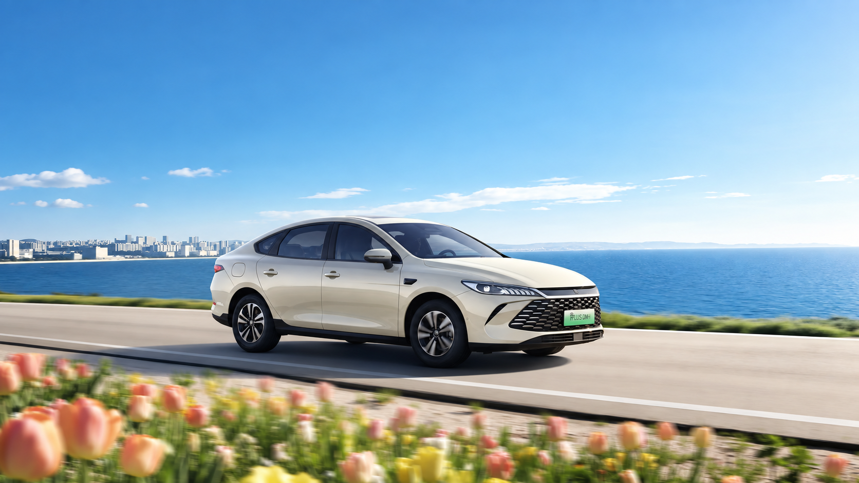 BYD Qin PLUS DM