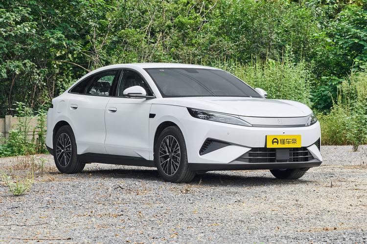 BYD Qin MAX DM - фото 3