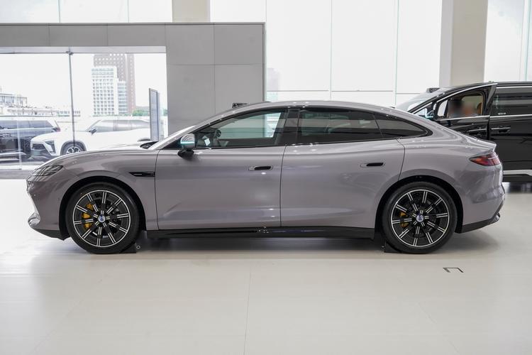 Denza Z9S EV - фото 4