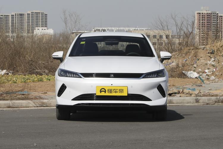 BYD Qin PLUS EV - фото 2