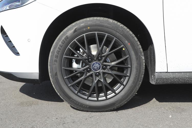 BYD Qin PLUS EV - фото 12